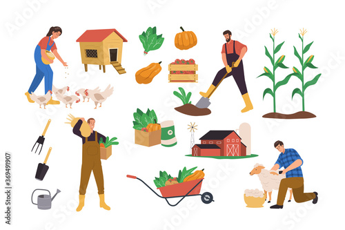 Local organic production with agricultural worker or farmer working on farm, gathering harvest, feeding farm animals