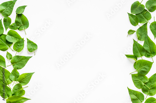 Frame of green leaves. Nature background layout. Top view