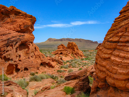 Red sandstones in the Valley of Fire, Nevada, USA