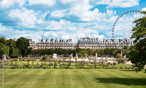 Fototapeta Naklejka Na Ścianę i Meble -  Jardin des Tuileries in Paris.