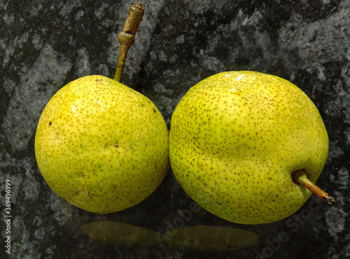 pear on the tree photo