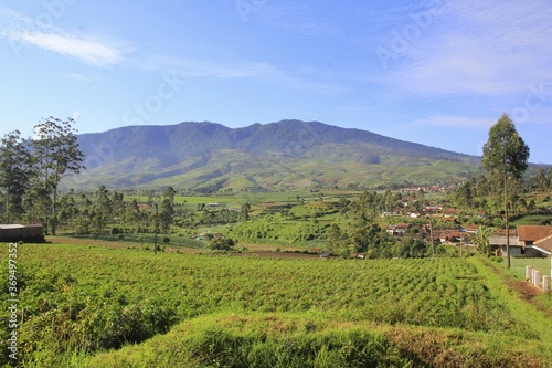 Rural nature with small settlements  agricultural land  and the temperature of the mountains is a beautiful and relaxing mix in South Bandung  West Java.