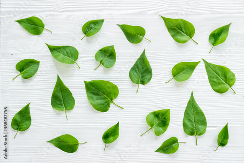 Green leaves background above view. Lauout of green leaves