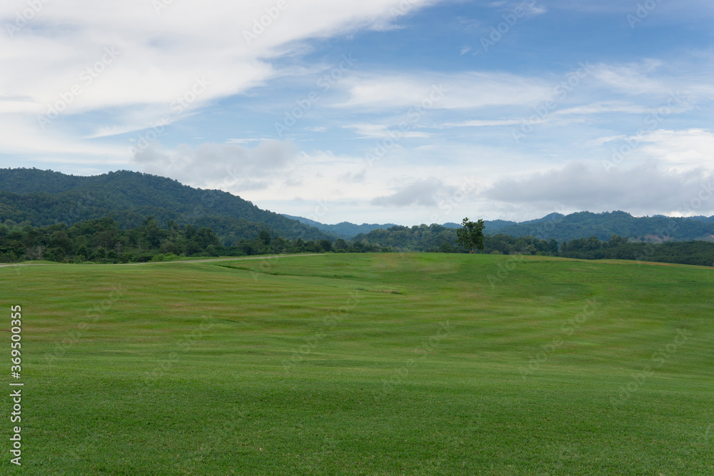 Landscape view with green glass and mountain with blue sky.