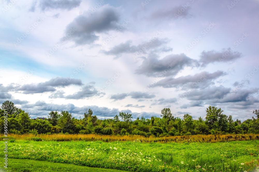 Colour landscape photograph at Machin Fields in Kingston, Ontario Canada during a sunny late summer afternoon.