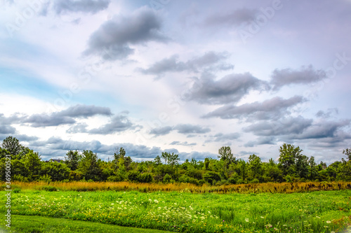 Colour landscape photograph at Machin Fields in Kingston  Ontario Canada during a sunny late summer afternoon.