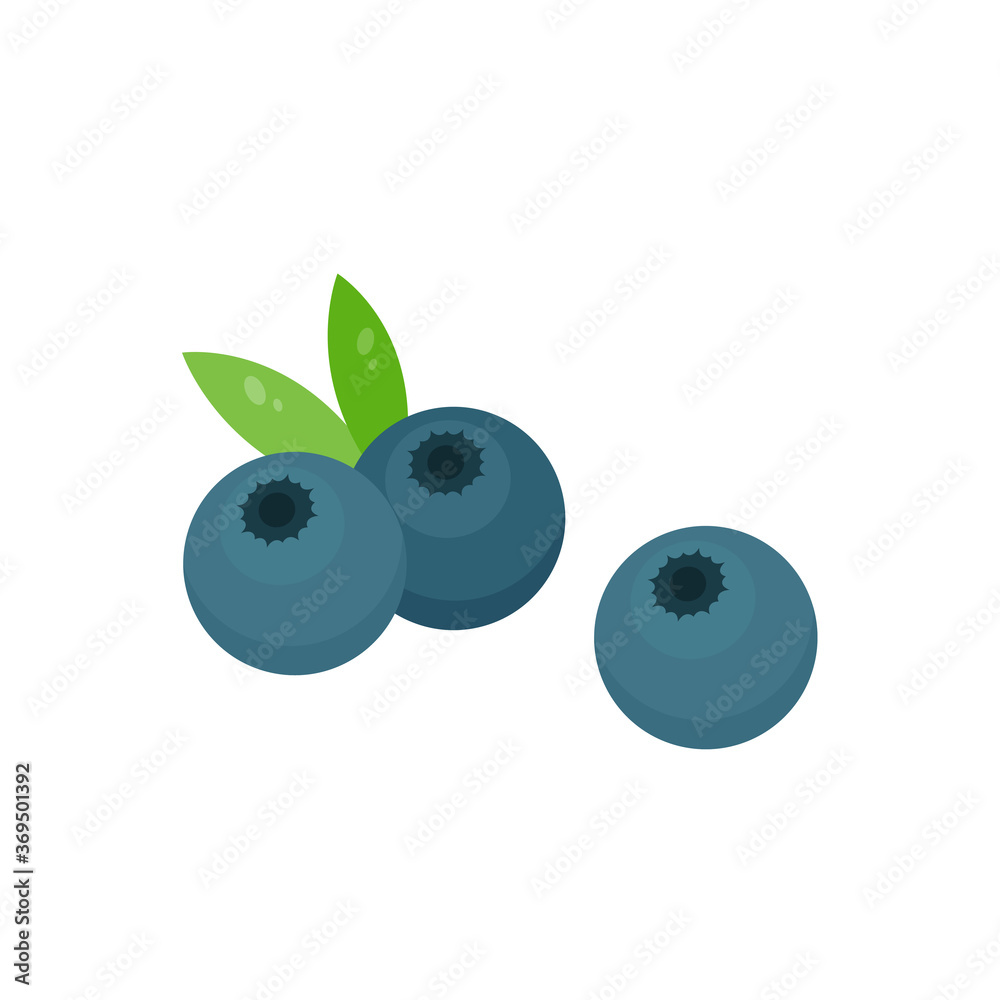 This is a blueberry. Cute berry on white background. This is a blueberry. Cute berry on white background.