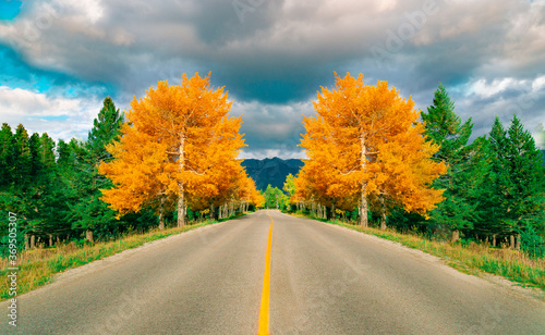 Fall Highway In Autumn In Mountain Landscape