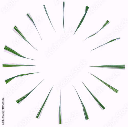 Circle of grass on a white isolated background.