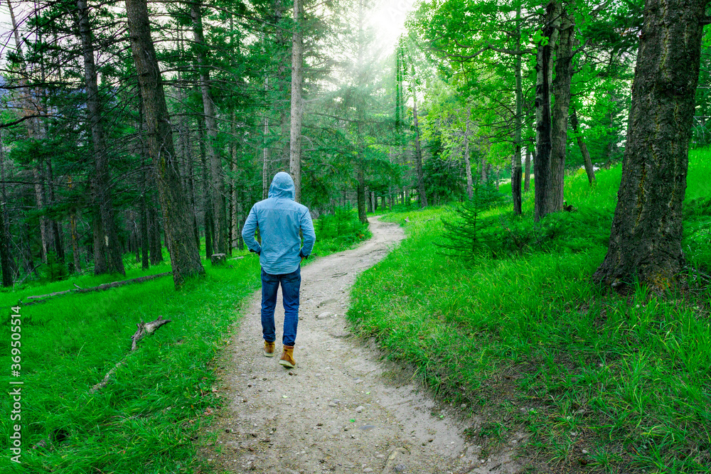 Man Hiking On Nature Path In Woods Forest Man Hiking On Nature Path In Woods Forest