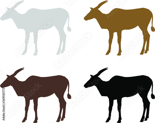 silhouette of antelope