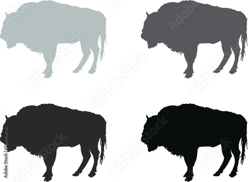 set of buffalo
