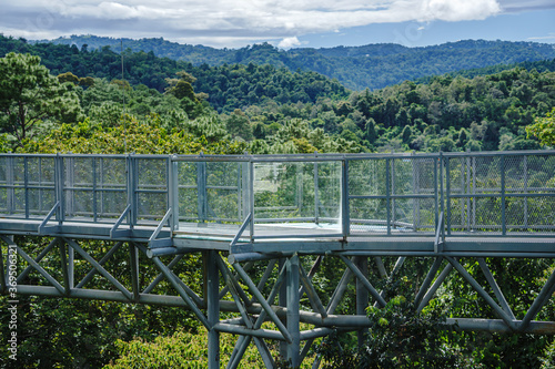 The Canopy walkway, Queen Sirikit Botanic Garden Chiangmai Thailand,metal walkway in forest, iron bridge