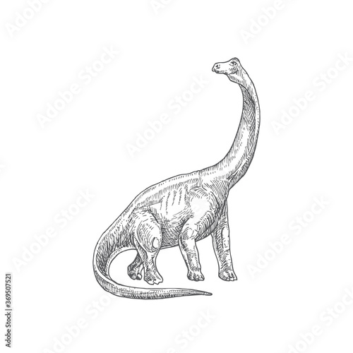 Prehistoric Dinosaur Doodle Vector Illustration. Hand Drawn Brontosaurus Reptile Engraving Style Drawing.