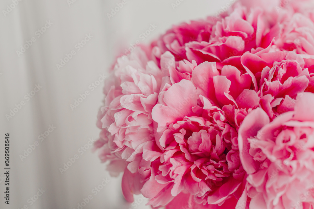 fresh bright blooming peonies flowers on window background fresh bright blooming peonies flowers on window background