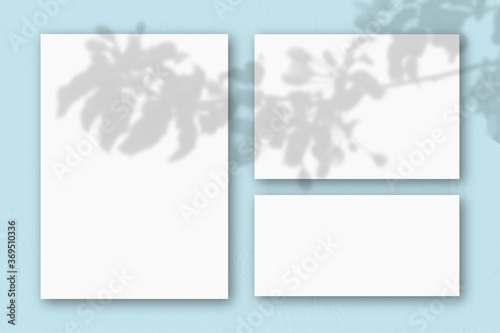 Several horizontal and vertical sheets of white textured paper on the background of a blue wall. Natural light casts shadows from an exotic plant. Flat lay, top view
