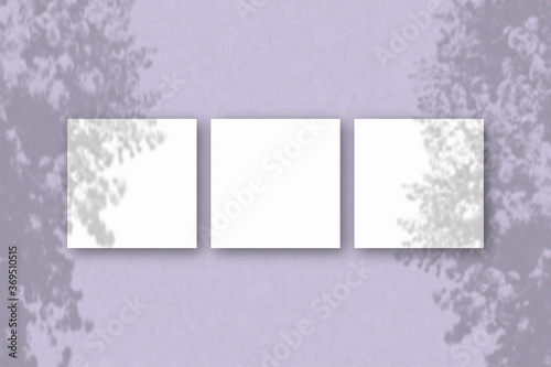 3 square sheets of white textured paper on the lilac wall background. Mockup overlay with the plant shadows. Natural light casts shadows from an exotic plant.. Flat lay, top view