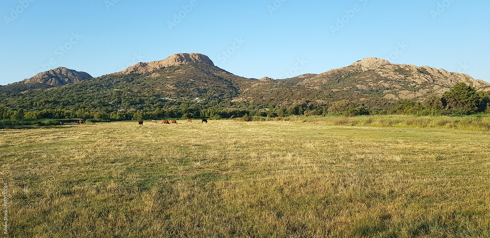 Fototapeta premium Landscape in Ostriconi beach, Corsica, France