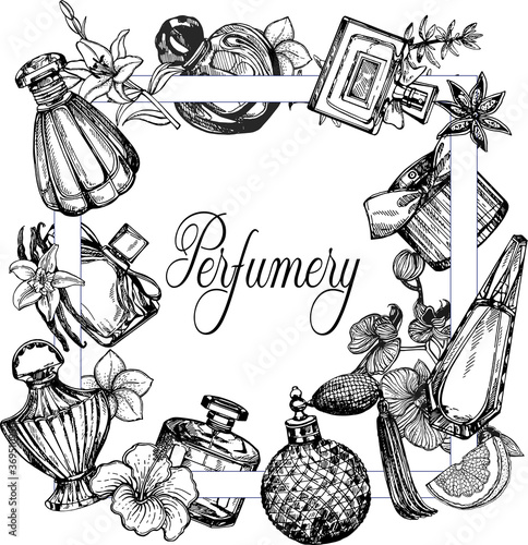 Poster / card / composition of hand drawn sketch style bottles of perfume and plants isolated on white background. Vector illustration.