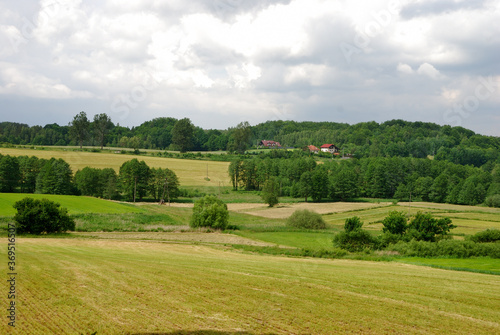 Rural summer landscape in Kaszuby, Poland with mowed fields and green trees at far