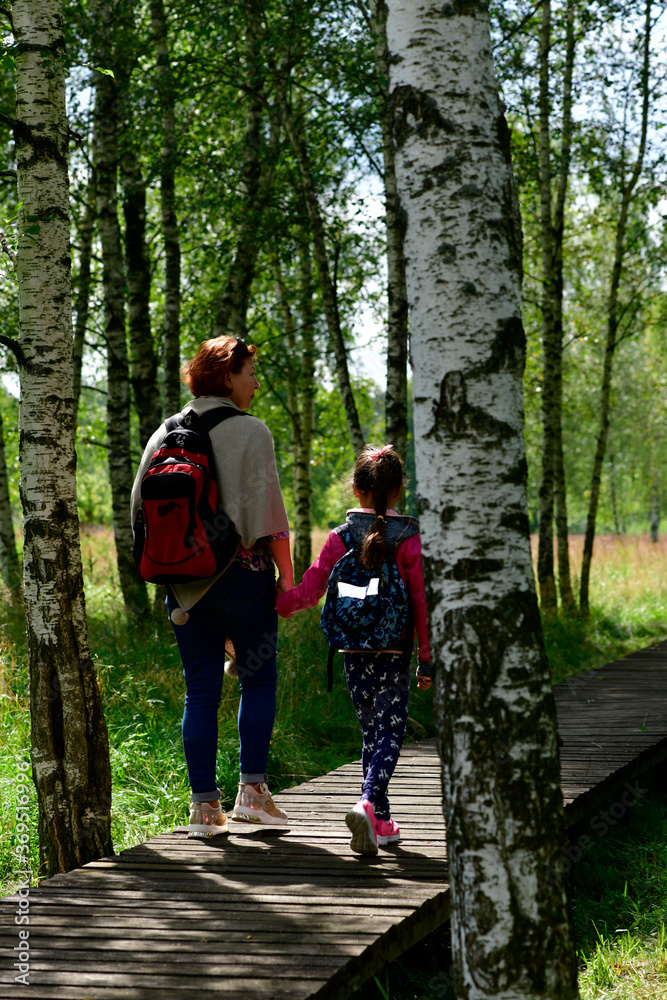 grandmother and granddaughter walk in the forest along the path among the swamps in summer