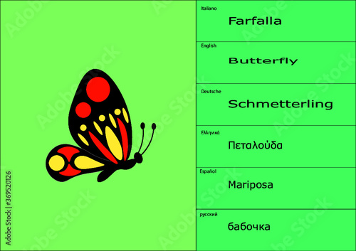 Farfalla esempio di tovaglietta segnaposto sottopiatto placemate scheda studio da collezionare per gioco scuola infanzia