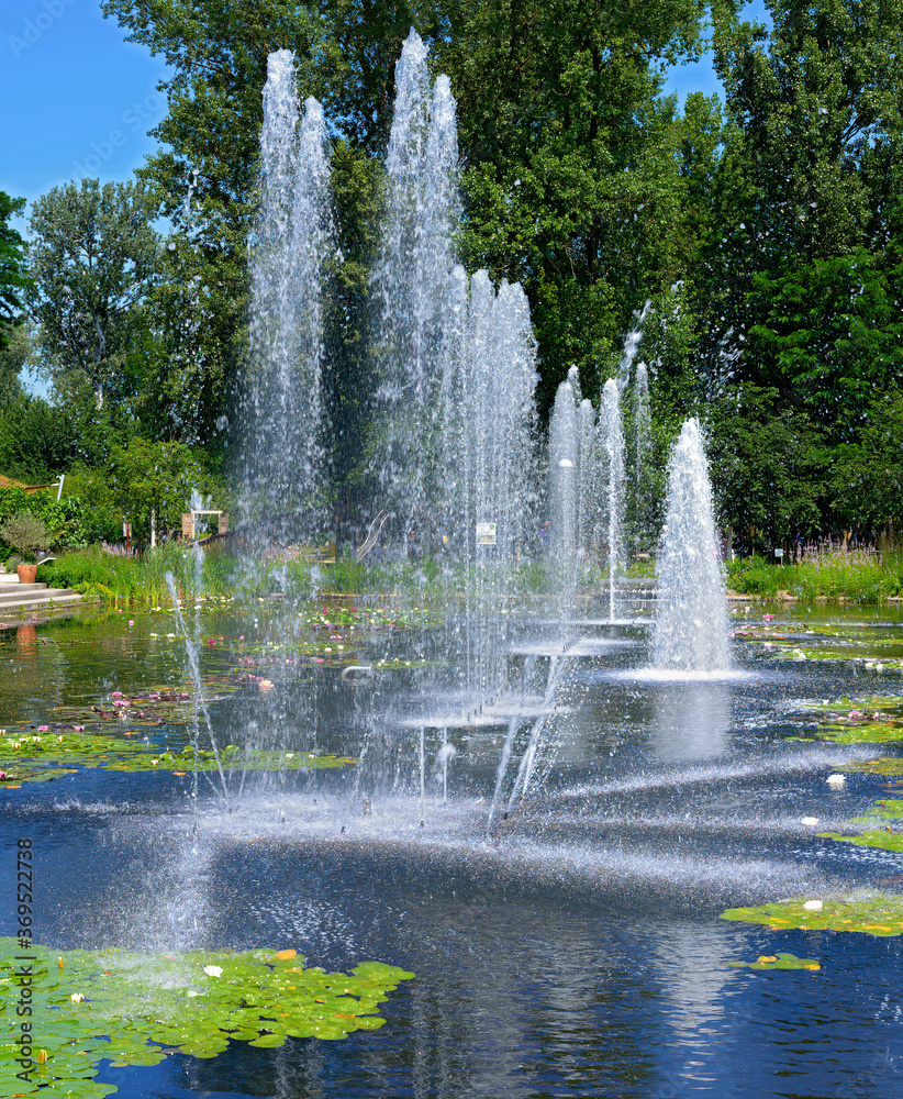 Naklejka premium Fountains in a pond of an ornamental garden