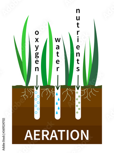 Lawn aeration process vector illustration. Concept of lawn grass care, gardening service, benefits of aeration. Water, air and fertilizer having easy access to soil
