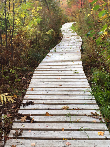 wooden walking path in the woods, Quechee, Vermont, part of the Ottauquechee Trail.