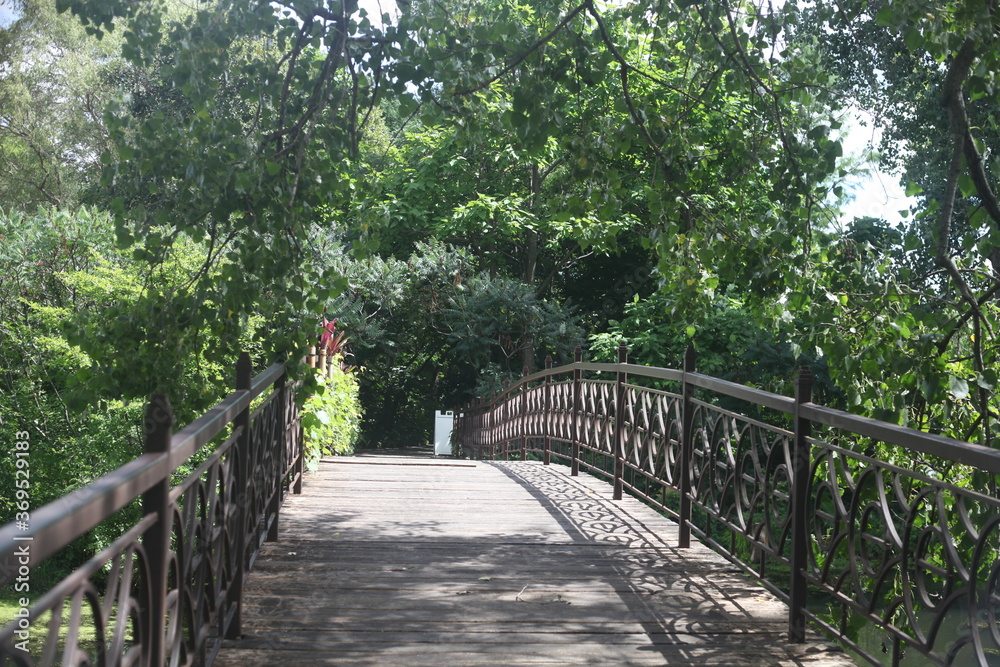 Fototapeta premium old wooden bridge