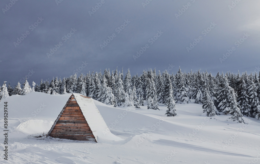 Part of wooden building on the ground. Magical winter landscape with snow covered trees at daytime