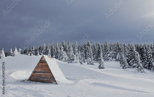 Part of wooden building on the ground. Magical winter landscape with snow covered trees at daytime © standret