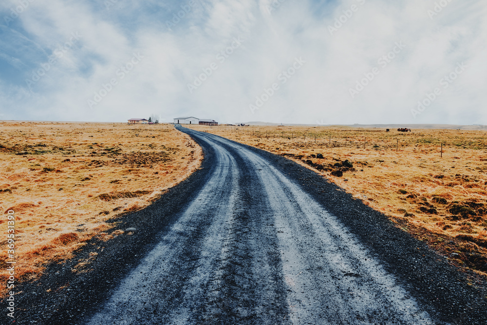 Fototapeta premium Typical turf-top cottage house in Icelandic countryside. Wooden house with grass roof in Iceland, Traveling concept background.