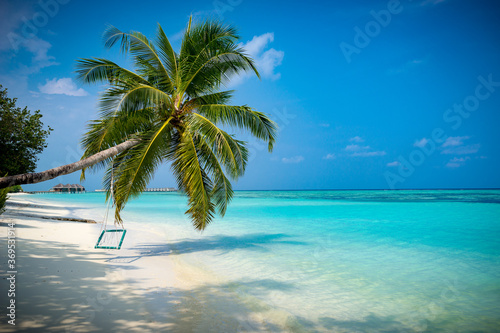 Fototapeta Naklejka Na Ścianę i Meble -  Tropical beach with Palm Tree and a wooden swing at the Maldives