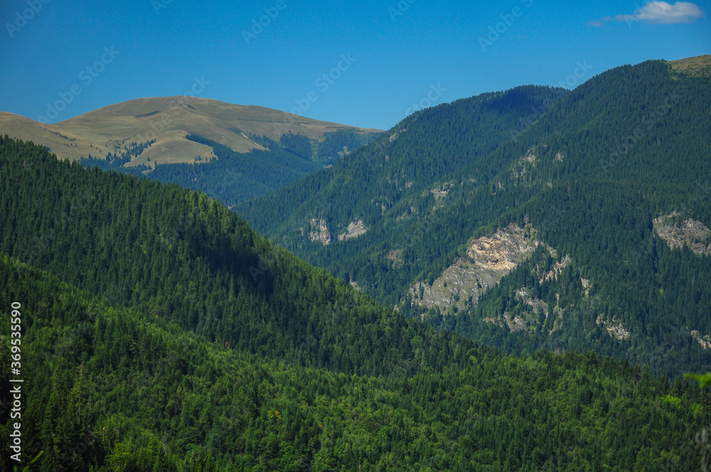 Capatanii Mountains in mid-september.