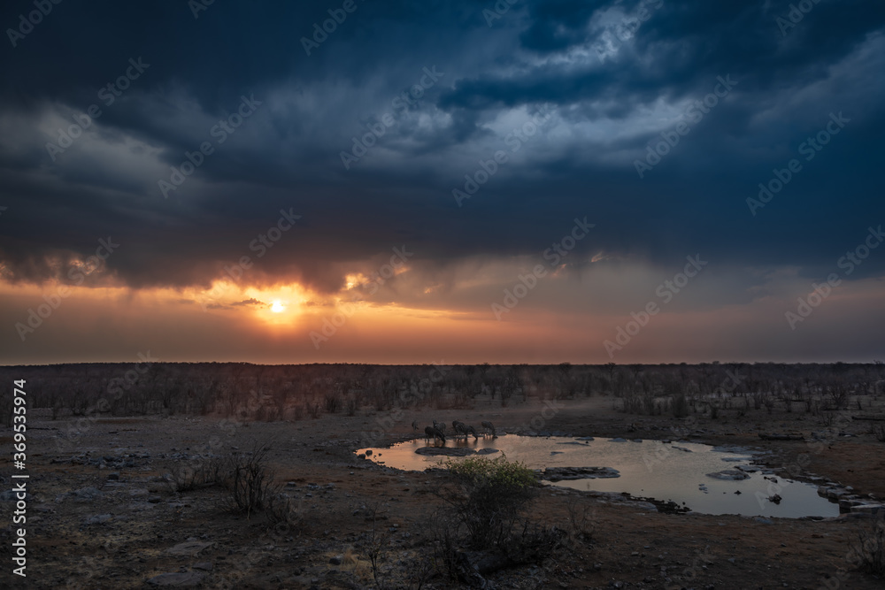 Lightning storm and zebras at waterhole at sunset