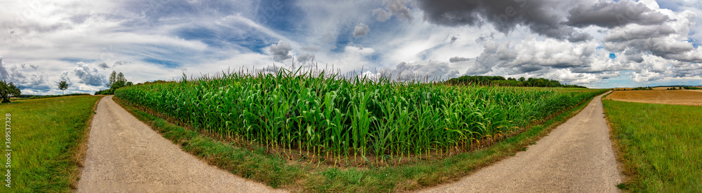 Panorama on some rural fields, with a blue sky and some clouds on it Panorama on some rural fields, with a blue sky and some clouds on it