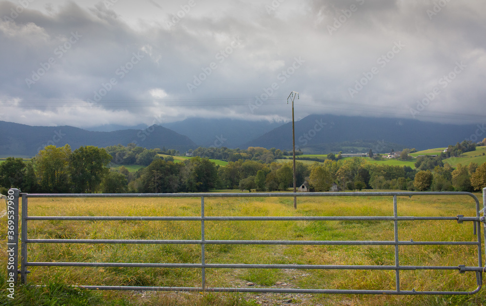 Fototapeta premium Closed iron fence in the field. Meadow and mountauns on background. Countryside concept. Cloudy day in rural pasture. Electric pole in field behind fence. Summer nature concept. 