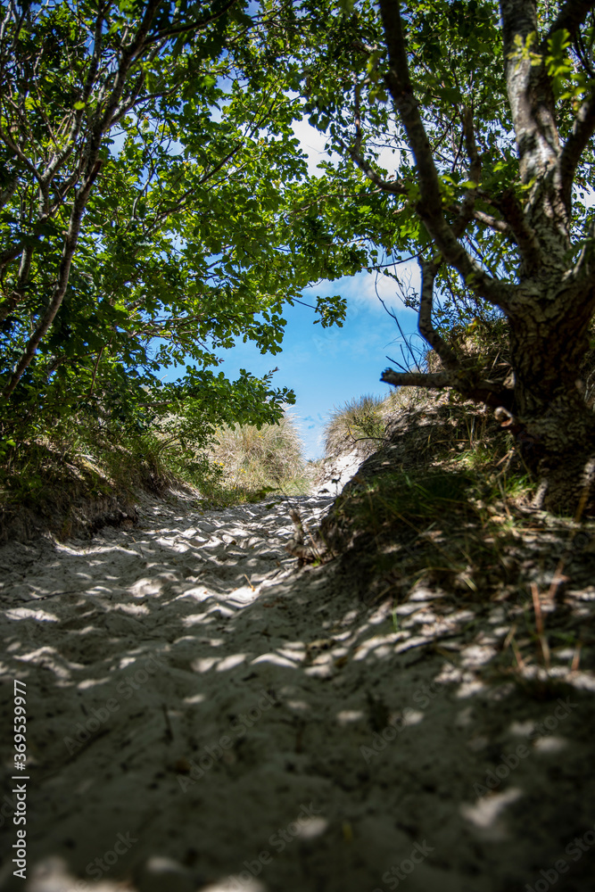 Sand dunes at the beach, blue sky Sand dunes at the beach, blue sky