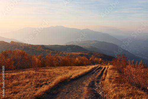 Majestic landscape of autumn trees and mountains by the horizon © standret