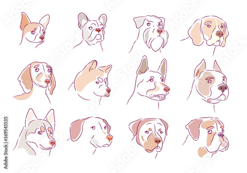 Dog collection. Puppy set. Chihuahua. Bulldog. Zwergschnauzer. Beagle. Dachshund. Akita inu. German shepherd. Pit bull. Husky. Retriever. Rottweiler. A boxer dog. Outline style
