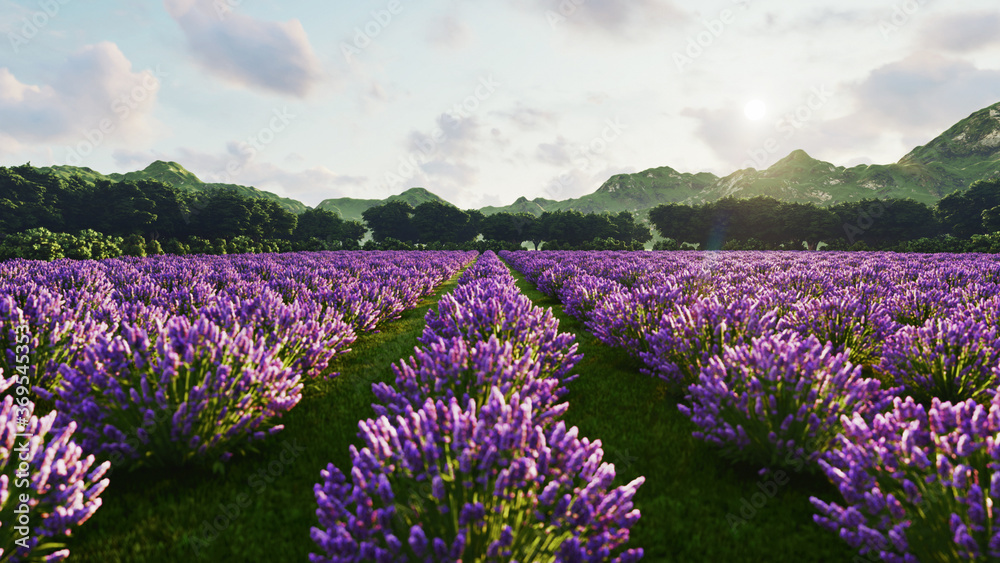 Image shows a rich lavender field in Provence, France, with a lone tree in the background. 3d rendering - obrazy, fototapety, plakaty 