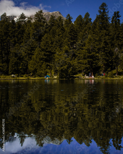 Bosco specchiato nel lago