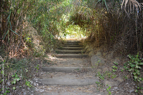El parque d Oromana se convirtió en parque por iniciativa del ayuntamiento de la localidad, siendo alcalde Pedro Gutiérrez Calderón, que con el influjo de la Exposición de 1929 en Sevilla