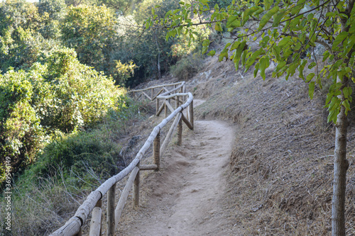 El parque d Oromana se convirtió en parque por iniciativa del ayuntamiento de la localidad, siendo alcalde Pedro Gutiérrez Calderón, que con el influjo de la Exposición de 1929 en Sevilla
