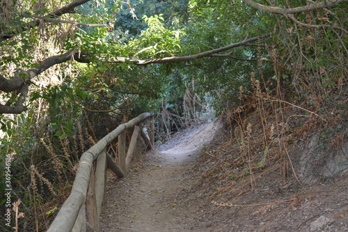 El parque d Oromana se convirtió en parque por iniciativa del ayuntamiento de la localidad, siendo alcalde Pedro Gutiérrez Calderón, que con el influjo de la Exposición de 1929 en Sevilla