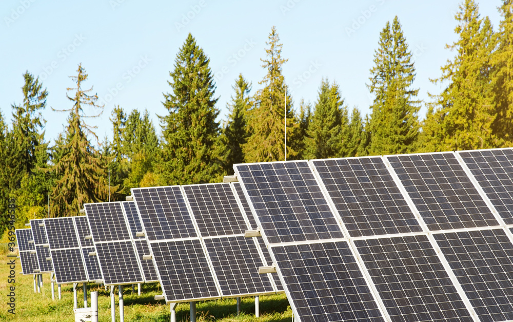 Solar panel collectors in forest, coniferous trees background, clear sky above, closeup detail