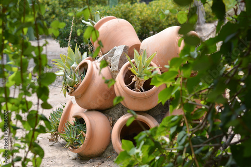 jarrones tipo tinajas con plantas