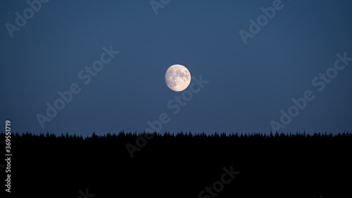 Moon in the night on top of a dark forrest