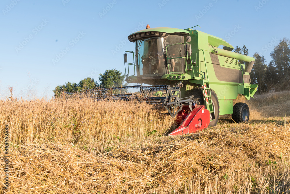 Fototapeta premium Getreideernte mit Mähdrescher